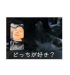 ジュンタの日常（個別スタンプ：6）