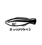 いつもとなりに海洋生物（個別スタンプ：1）