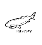 いつもとなりに海洋生物（個別スタンプ：4）