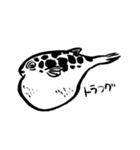 いつもとなりに海洋生物（個別スタンプ：38）