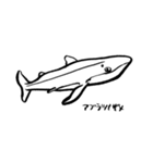 いつもとなりに海洋生物（個別スタンプ：39）