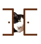 チャンくん（個別スタンプ：6）