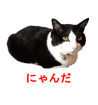 チャンくん（個別スタンプ：7）