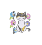 三毛猫タラゴン2（個別スタンプ：1）