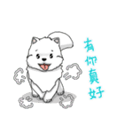 金の猟犬 BOKI ありがとう（個別スタンプ：2）