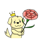 金の猟犬 BOKI ありがとう（個別スタンプ：7）