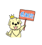 金の猟犬 BOKI ありがとう（個別スタンプ：10）
