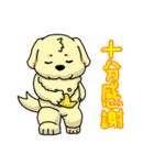 金の猟犬 BOKI ありがとう（個別スタンプ：11）