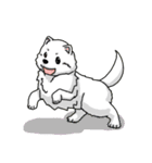 金の猟犬 BOKI ありがとう（個別スタンプ：36）
