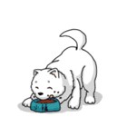 金の猟犬 BOKI ありがとう（個別スタンプ：37）