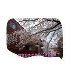 茶々丸さんの言葉（個別スタンプ：3）