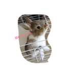 茶々丸さんの言葉（個別スタンプ：7）