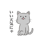 気まぐれニャン軍団（個別スタンプ：24）