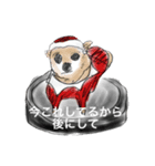 やってきた転校生達（個別スタンプ：4）