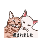 我が家のねこズ（個別スタンプ：36）