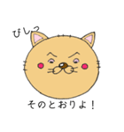 にゃんシェルジュ（個別スタンプ：17）