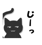かげねこ (背景透過)（個別スタンプ：7）