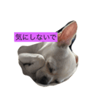 tofu10281018（個別スタンプ：6）