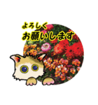 花猫2-お願いと了解（個別スタンプ：1）