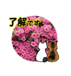 花猫2-お願いと了解（個別スタンプ：7）