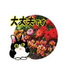 花猫2-お願いと了解（個別スタンプ：17）