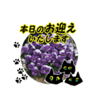 花猫2-お願いと了解（個別スタンプ：22）