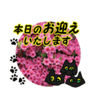 花猫2-お願いと了解（個別スタンプ：24）