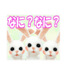 ひそひそ隊！パート4（個別スタンプ：13）