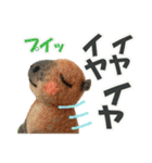 ひそひそ隊！パート4（個別スタンプ：19）