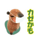 ひそひそ隊！パート4（個別スタンプ：27）