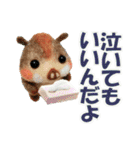 ひそひそ隊！パート4（個別スタンプ：37）