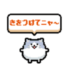 どうぶつピッタンコ スタンプ（個別スタンプ：5）
