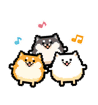 どうぶつピッタンコ スタンプ（個別スタンプ：11）