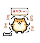 どうぶつピッタンコ スタンプ（個別スタンプ：35）