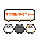 どうぶつピッタンコ スタンプ（個別スタンプ：39）