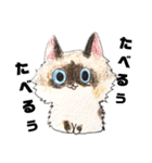 ゆるっと8にゃんず（個別スタンプ：5）