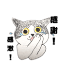 ゆるっと8にゃんず（個別スタンプ：9）