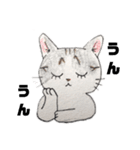 ゆるっと8にゃんず（個別スタンプ：14）