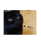黒猫リリィの強めの主張（個別スタンプ：4）