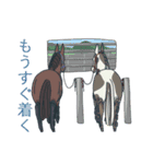 HORSE GAMES（個別スタンプ：5）