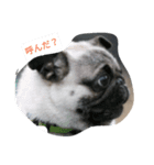 犬 ことば（個別スタンプ：2）