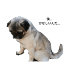 犬 ことば（個別スタンプ：6）