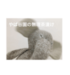 ゾウだよ（個別スタンプ：1）
