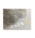 ゾウだよ（個別スタンプ：3）