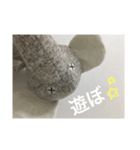 ゾウだよ（個別スタンプ：5）