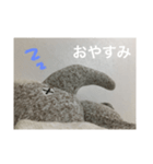 ゾウだよ（個別スタンプ：8）