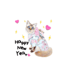 猫ベルちゃんの生活 01 (英語 Ver.)（個別スタンプ：2）