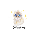 猫ベルちゃんの生活 01 (英語 Ver.)（個別スタンプ：6）
