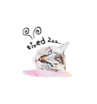 猫ベルちゃんの生活 01 (英語 Ver.)（個別スタンプ：12）