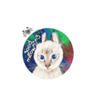 猫ベルちゃんの生活 01 (英語 Ver.)（個別スタンプ：19）